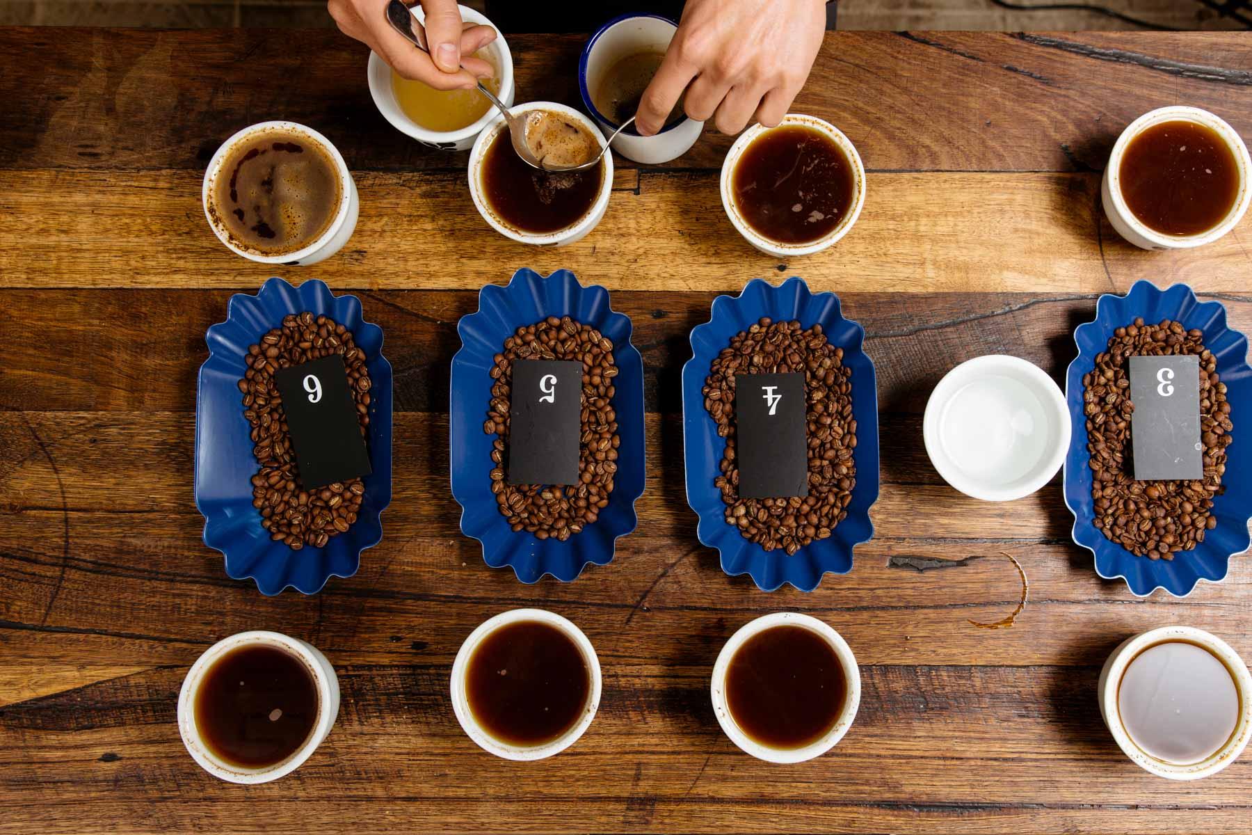 咖啡圈的杯测（Cupping）测的是什么？ - 知乎