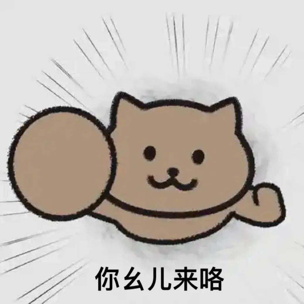 【摇人，你全家来啰】系列一猫人表情包 - 知乎