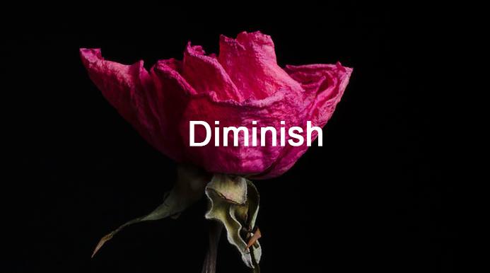 Diminish - 知乎