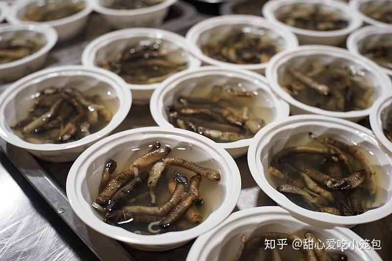 福建的土笋冻，真勇士才不管它是虫还是笋呢！ - 知乎