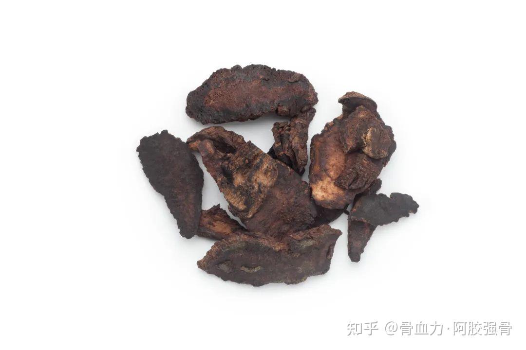 药物作用与使用禁忌——熟地黄 - 知乎