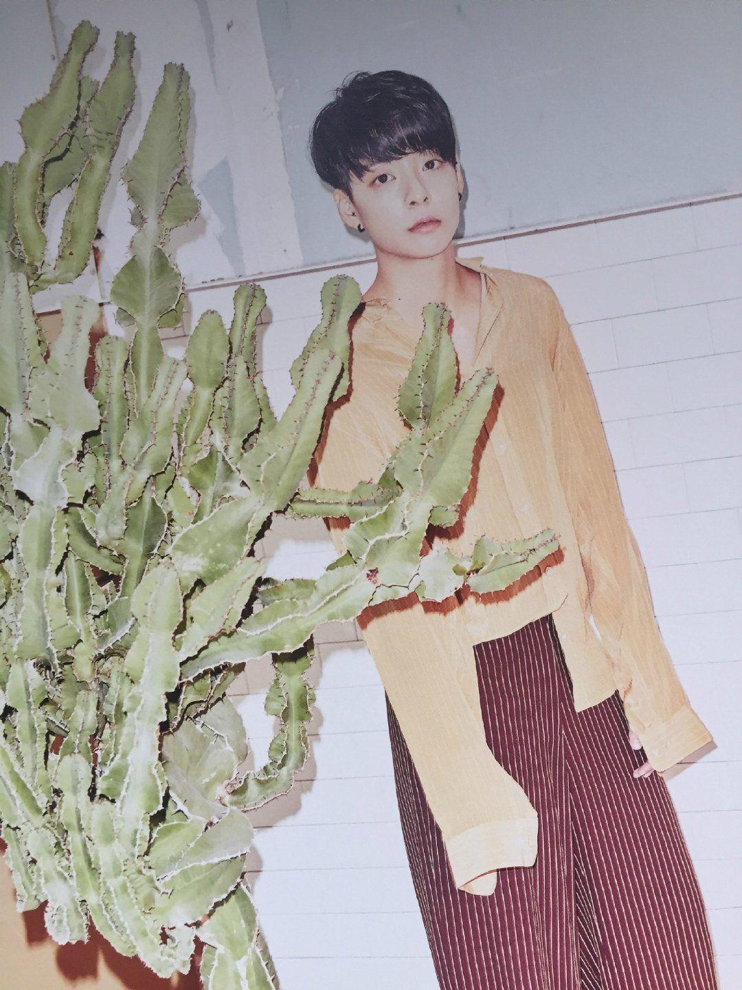 amber刘逸云有哪些好看的图