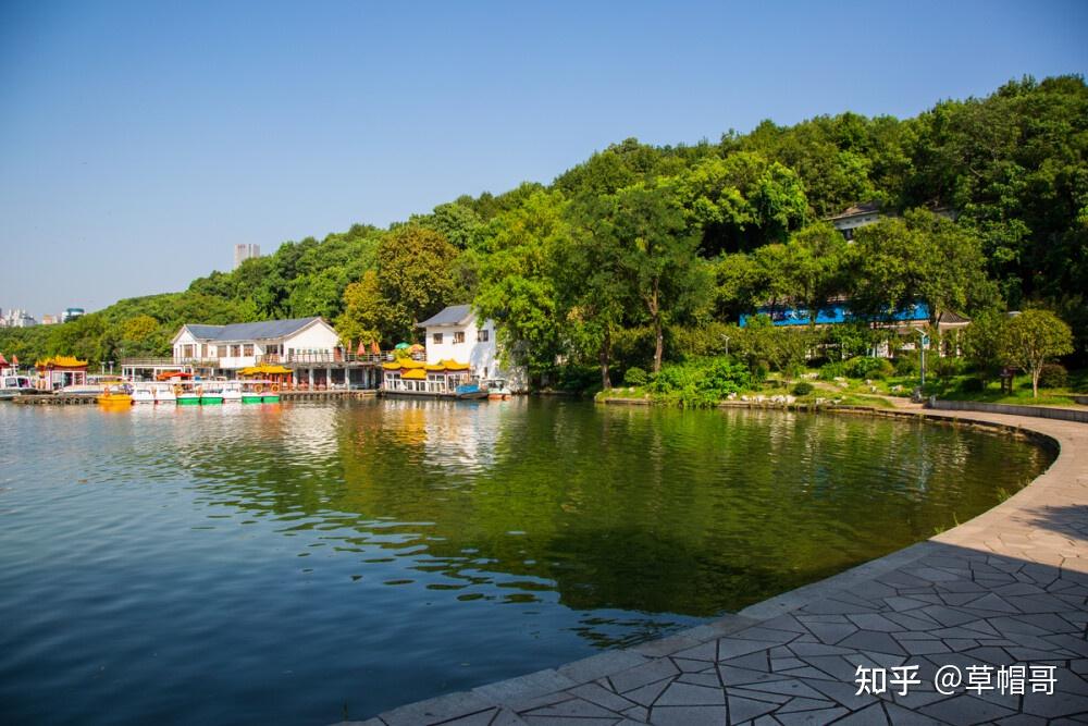 即将出发去「绿藤市」旅行,有哪些需要注意的?