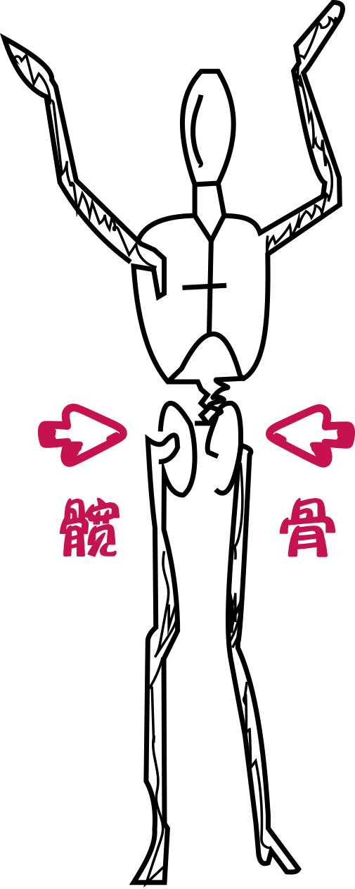 髋骨具体指哪儿? - 知乎
