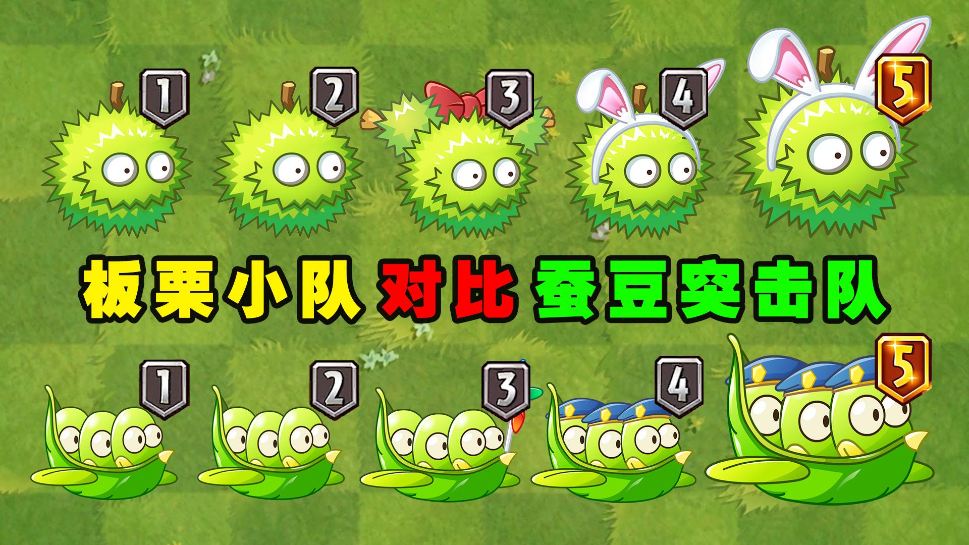 板栗小队和蚕豆突击队1至5阶对比两个多成员植物谁更实用