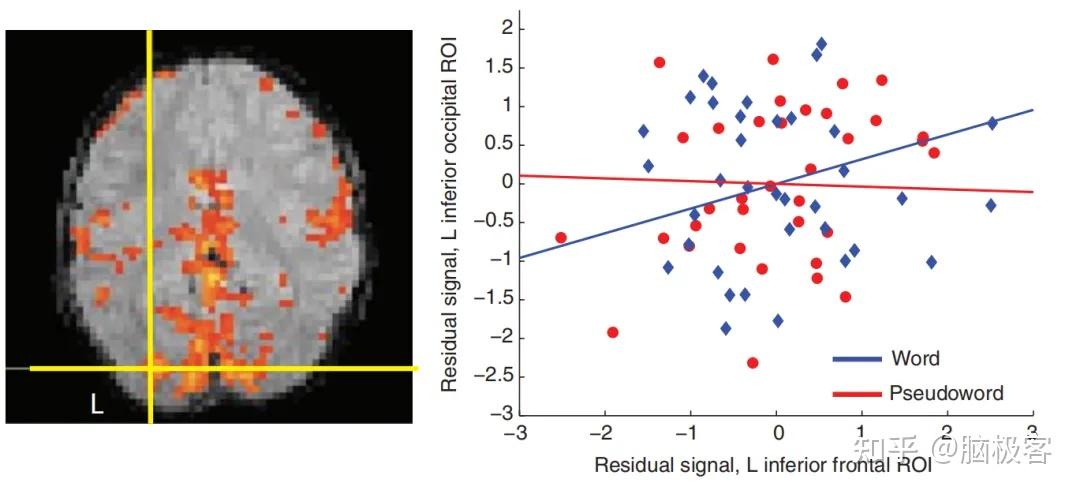 fMRI功能连接及其分析方法简要概述 - 知乎