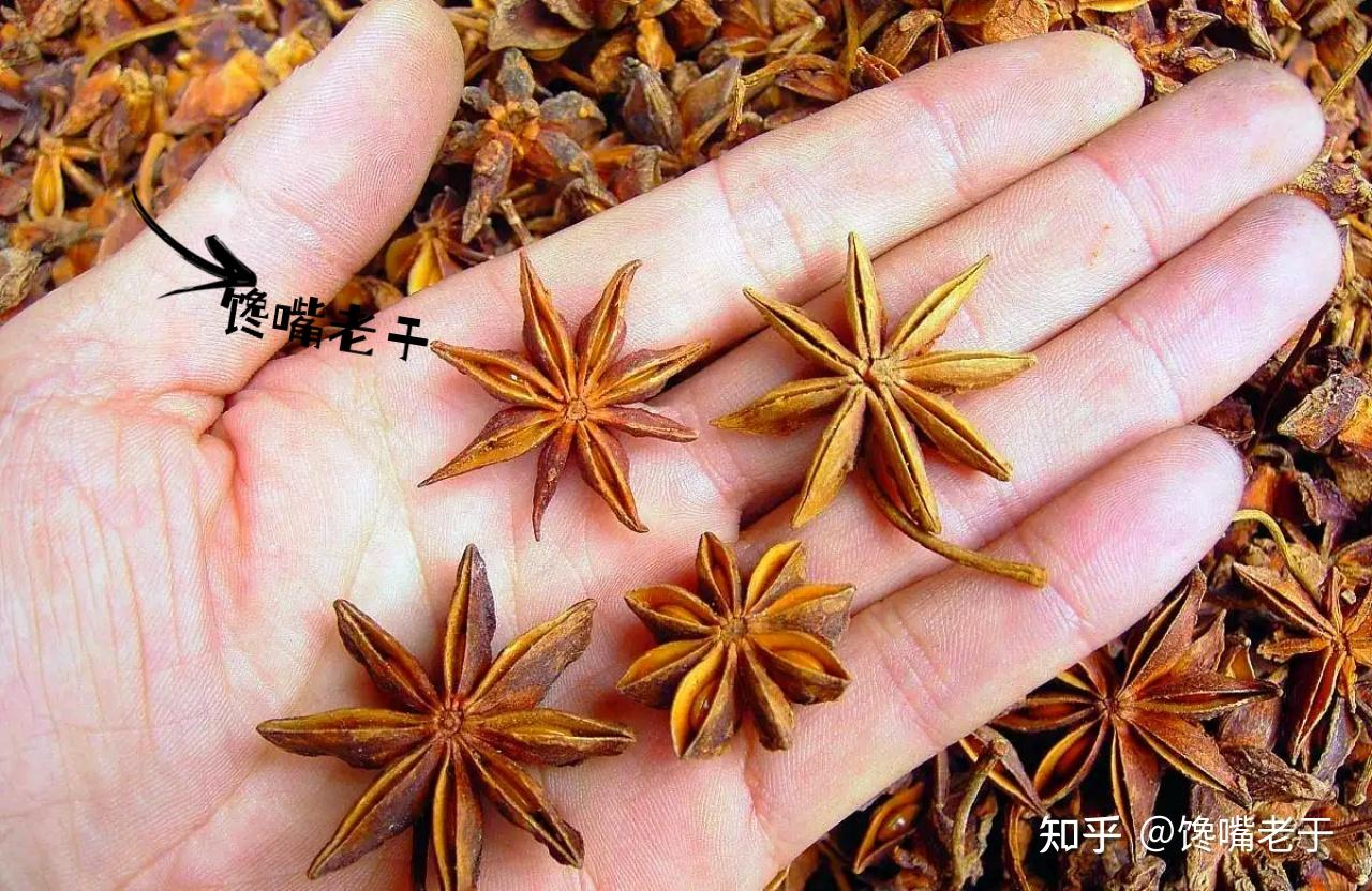 真假八角. - 知乎