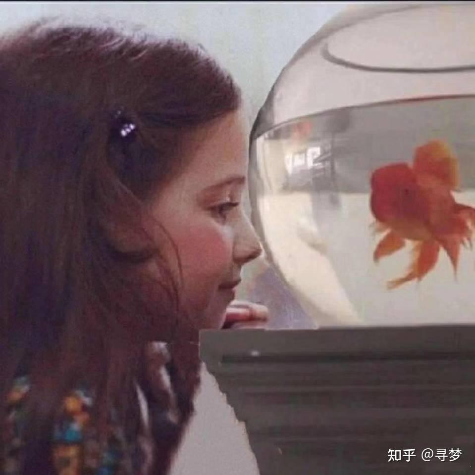 一个女孩看着鱼缸头像图片