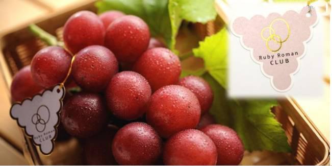 世界上最贵的葡萄价值7万人民币- 知乎