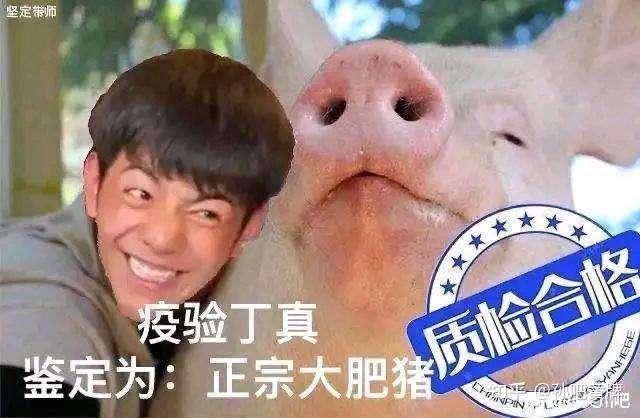 如何评价孙笑川吧等贴吧吧友制作的一眼丁真系列表情包