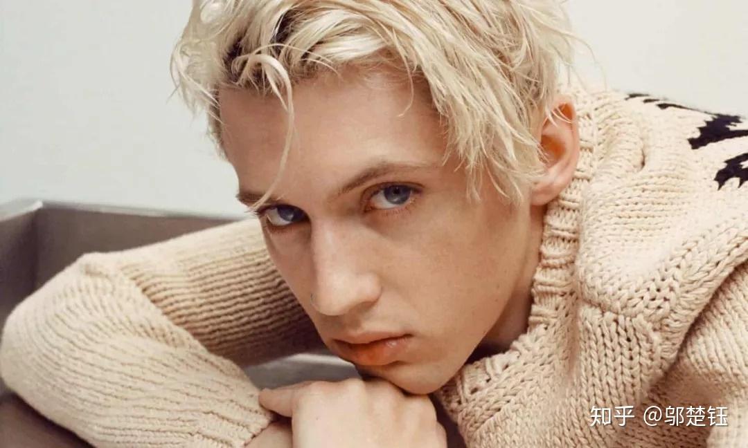 如何评价戳爷troyesivan的新专bloom