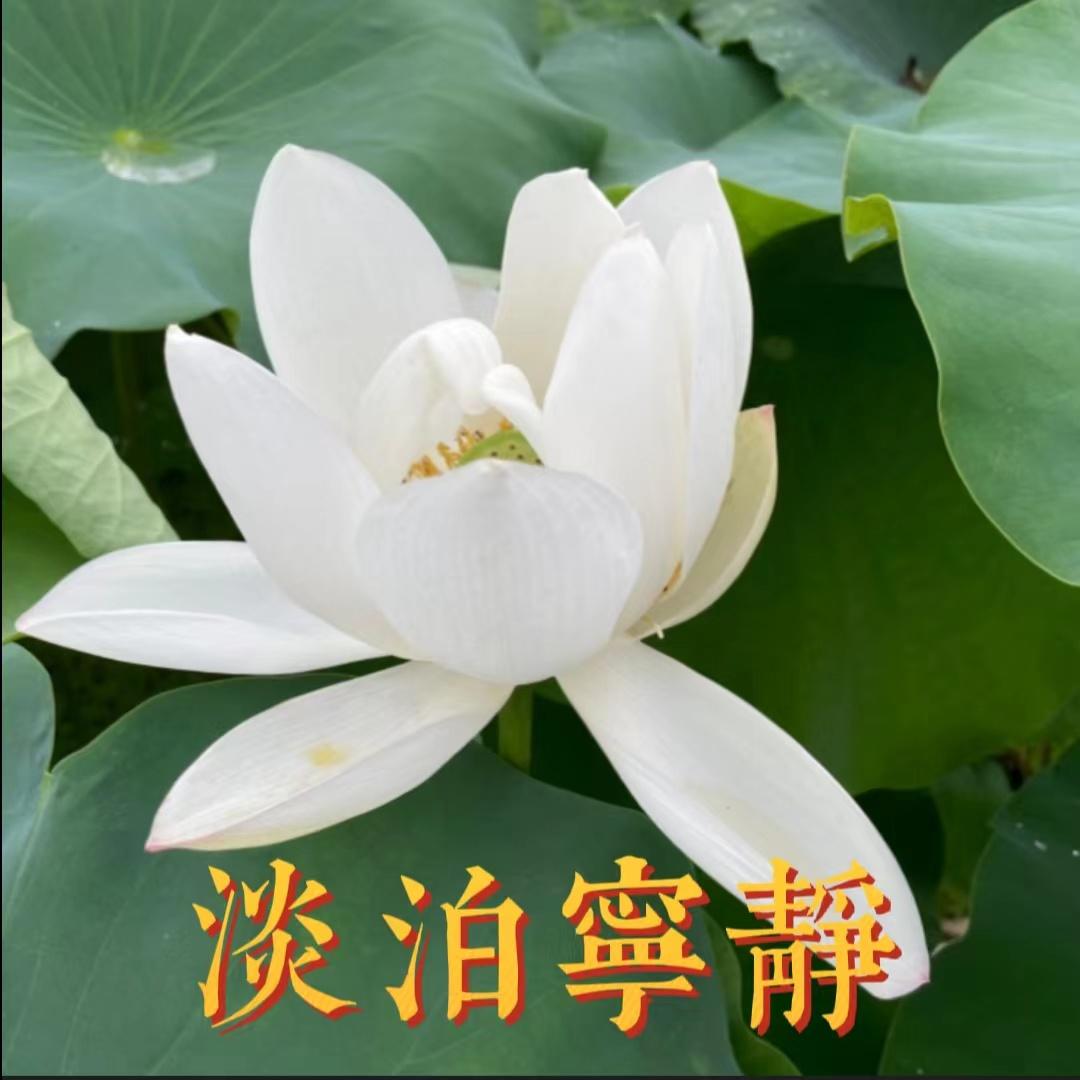 关注问题 67 写回答 登录/注册 学习 头像 学生 qq头像 微信头像