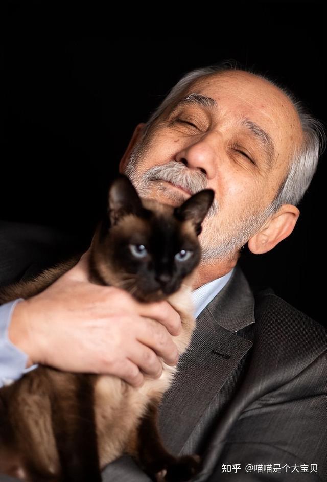 研究发现:长期养猫的人,会有这些意想不到的好处! - 知乎
