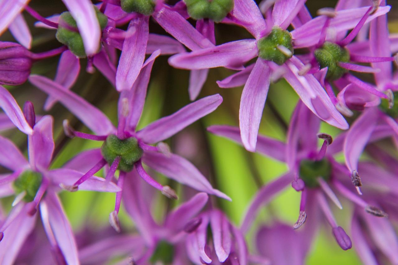 4. 蓝色颜料混搭法