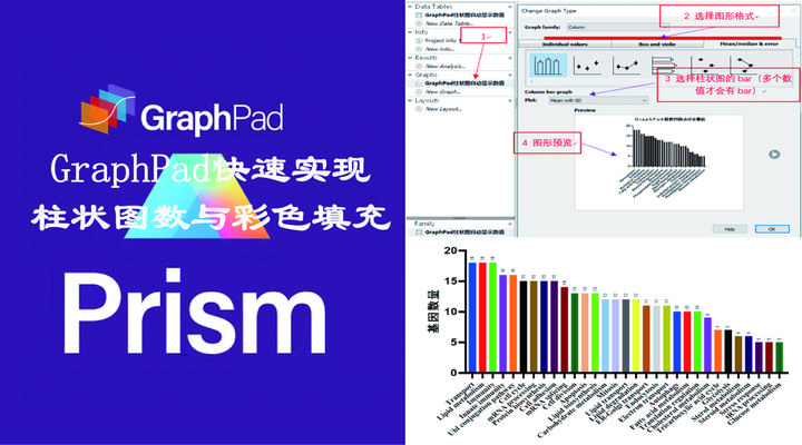 作图技能-Graphpad数值自动显示与图片自动填充颜色美化 - 知乎