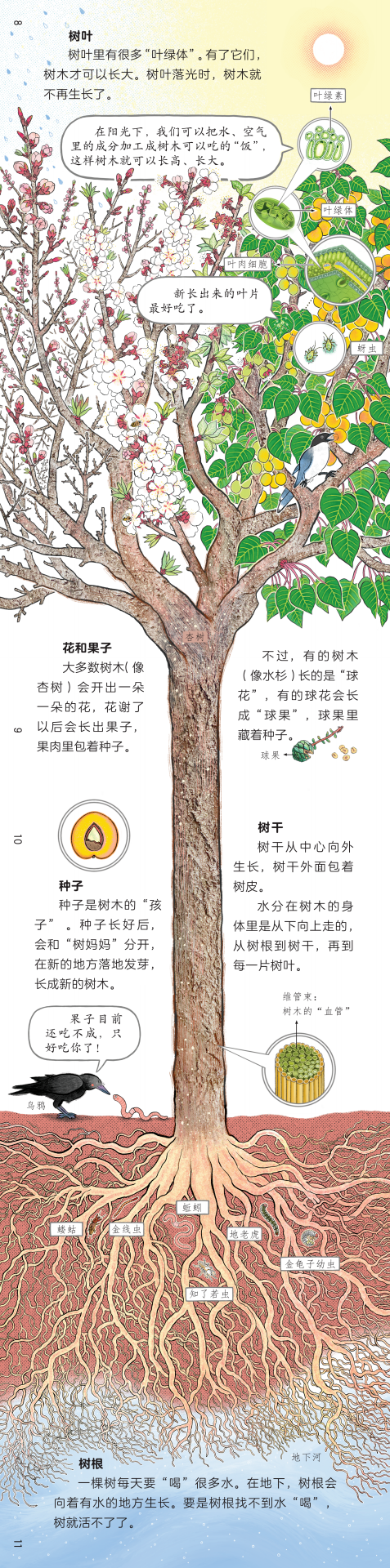 “妈妈,树能活5000岁吗?”世界森林日的最佳答案藏在这本书里 - 知乎