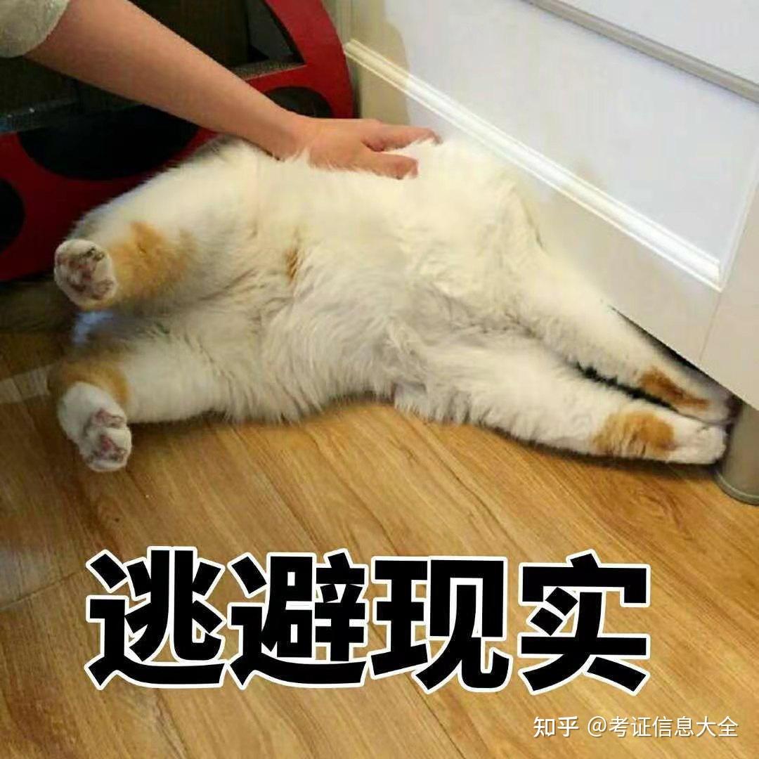 国外恋孩癖网站大全=外国小孩的恋爱观有多开放