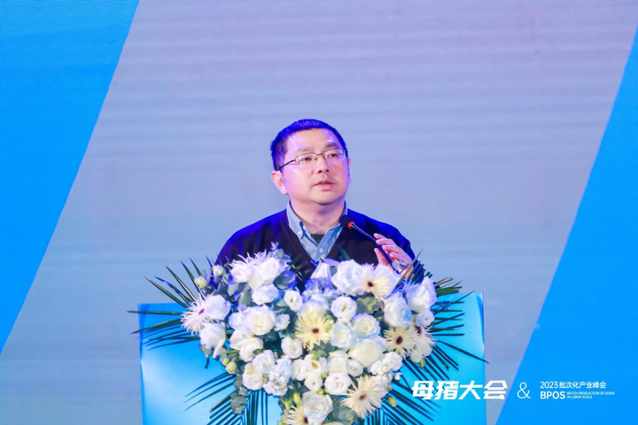 周斌:非瘟感染压力大、疫病多发!猪场产房如何针对性提效? - 知乎