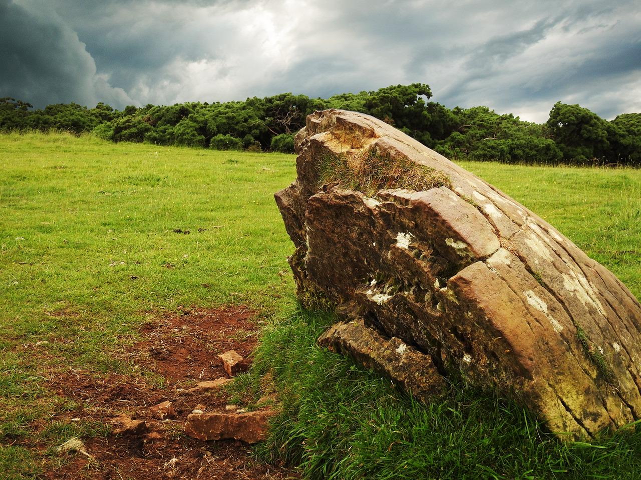 5. 塑石成本分析