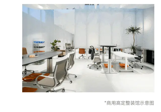 动图