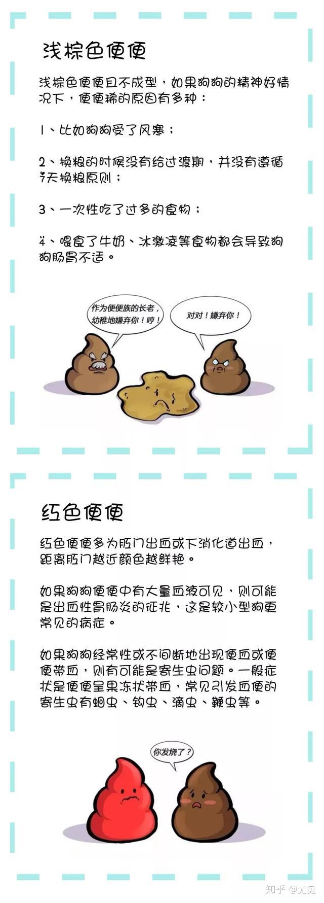 让便便告诉你狗狗的身体状况!(最全干货) - 知乎