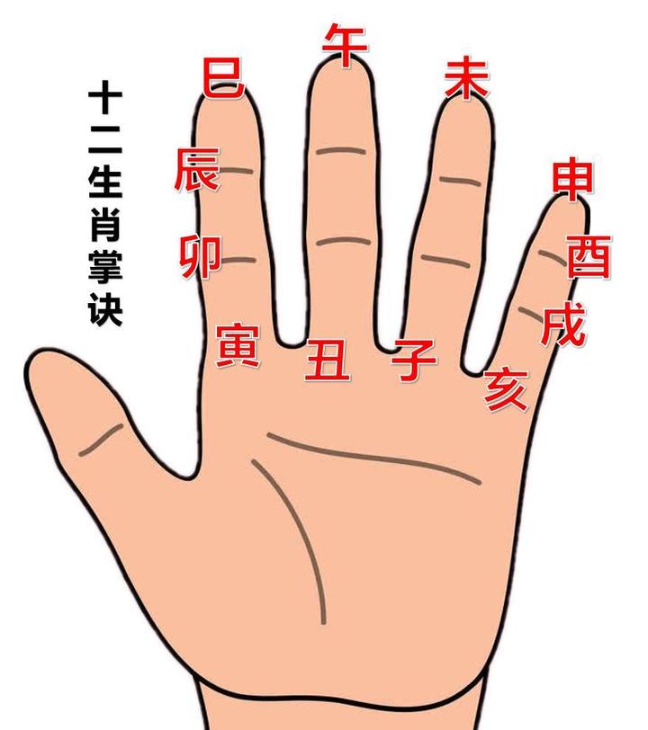 地支三、六合、刑、冲、破、害掌诀图 - 知乎
