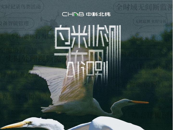 “鸟”算不如天算？天算不如我“高清偷看” - 知乎