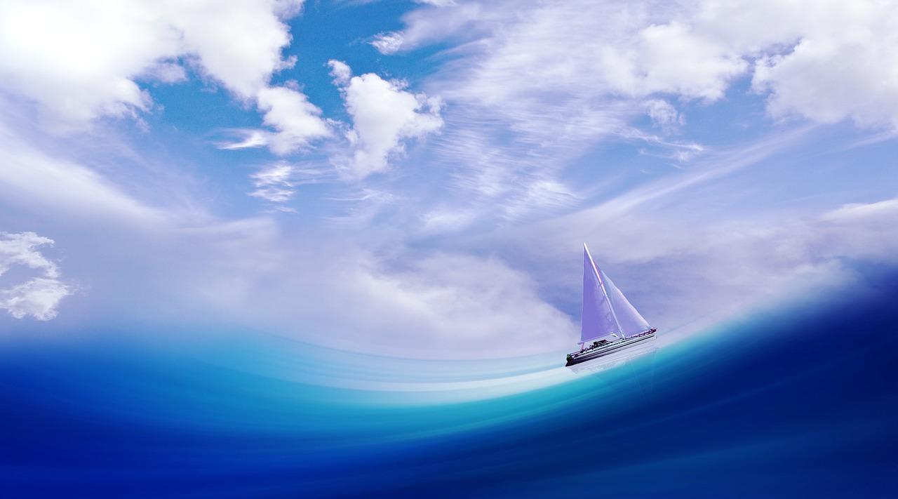 4. 速浪用户评价