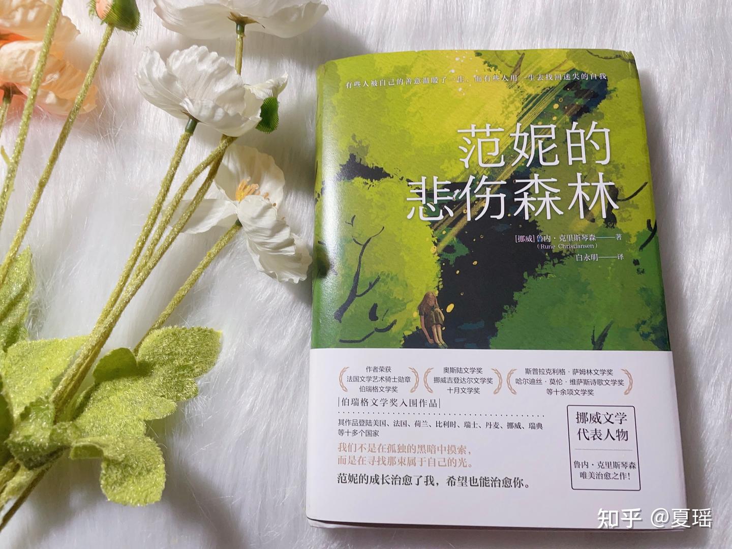《范妮的悲伤森林》:我们终其一生都在寻找那束属于自己的光 - 知乎