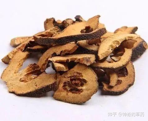 中药材:枳壳 - 知乎