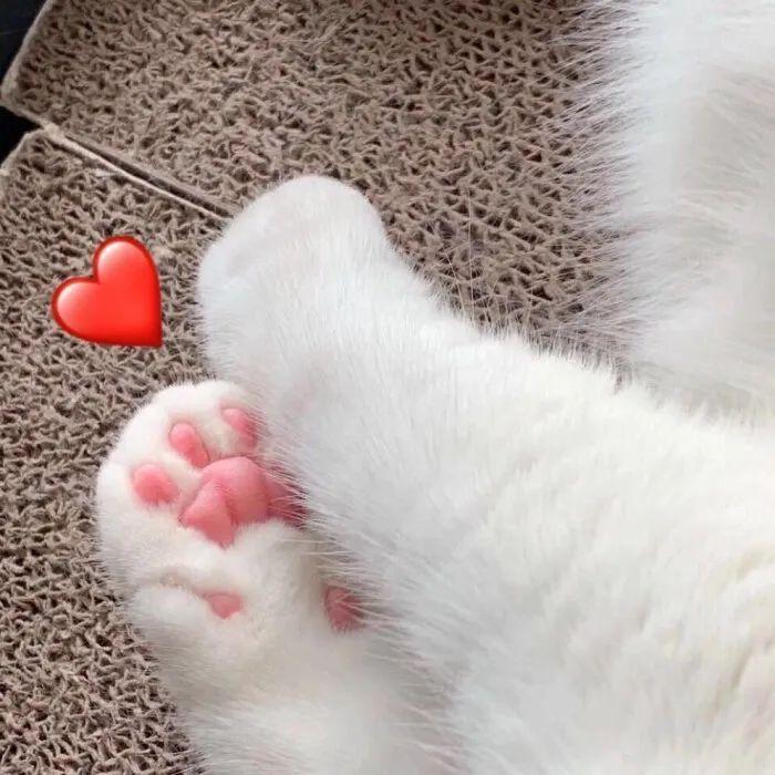 有没有可爱的比心表情包? - 知乎