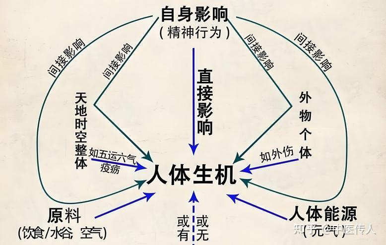 气血与十二经脉 - 知乎