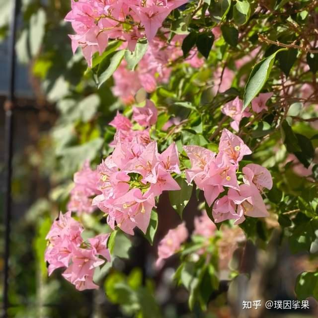暮春之初的雅集:上巳节的文化记忆 - 知乎