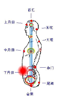 丹田与经络一样，只存在于生命体 - 知乎