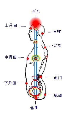 丹田与经络一样,只存在于生命体 - 知乎