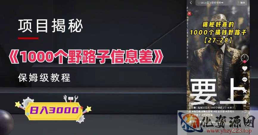 1000个野路子信息差保姆式教程-单日变现3000+的玩法解密