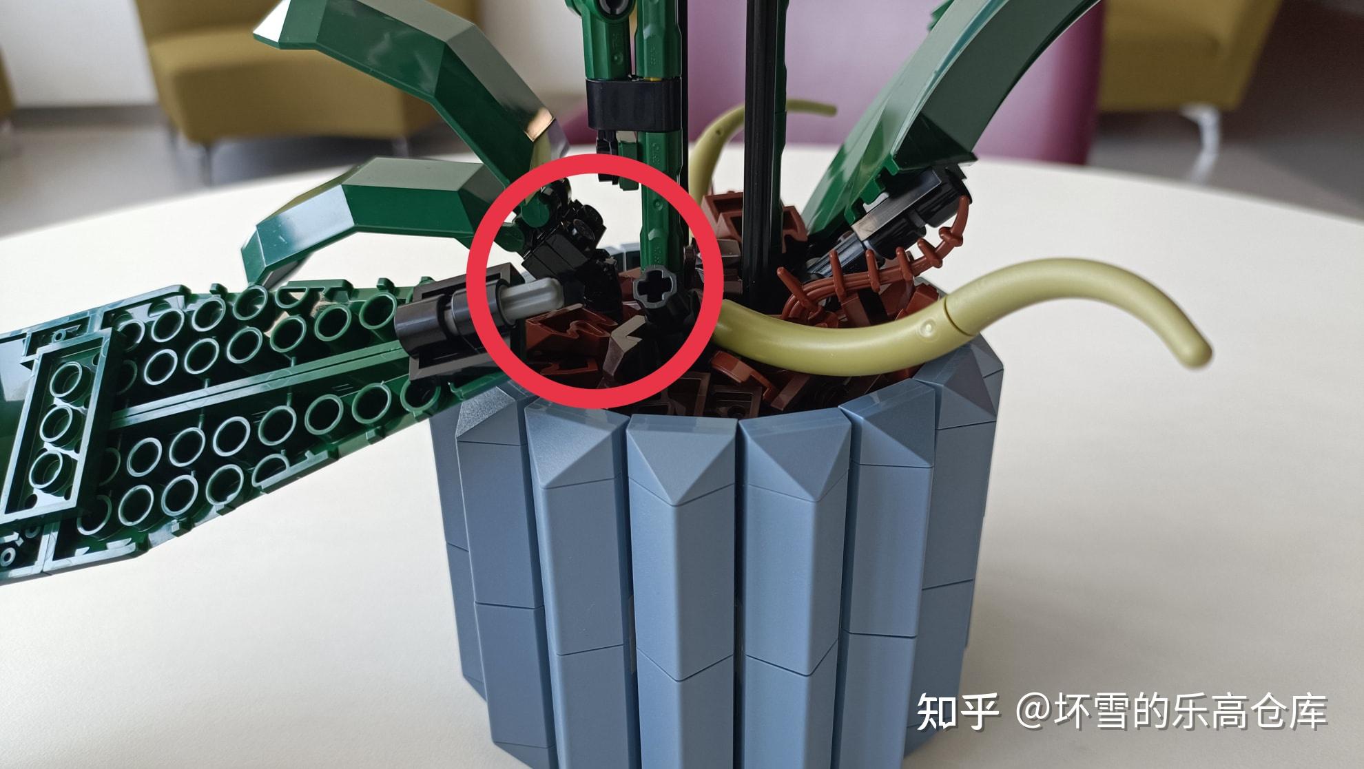 植物系列最佳,不输爆款花束!乐高10311兰花测评 - 知乎