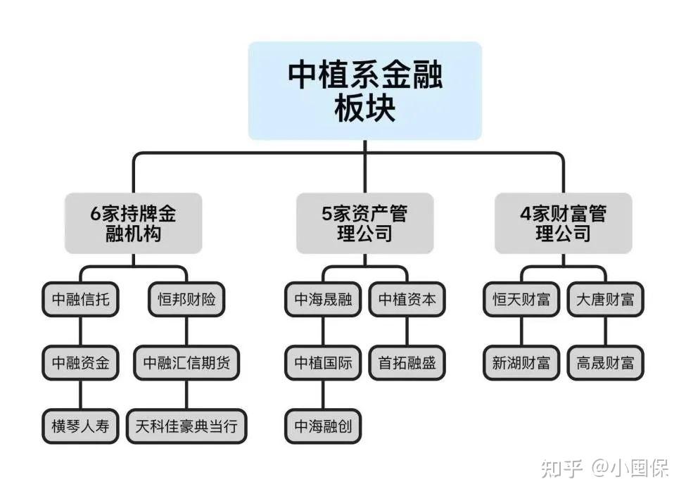 中植系暴雷未来的处理方式会怎样