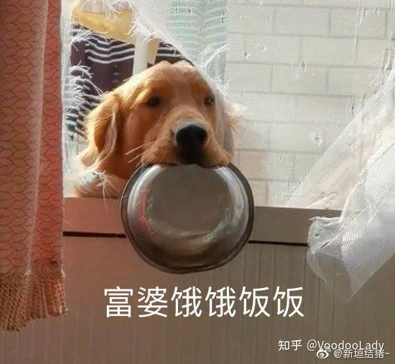 大家觉得赤井秀一的官配cp是谁? - 知乎