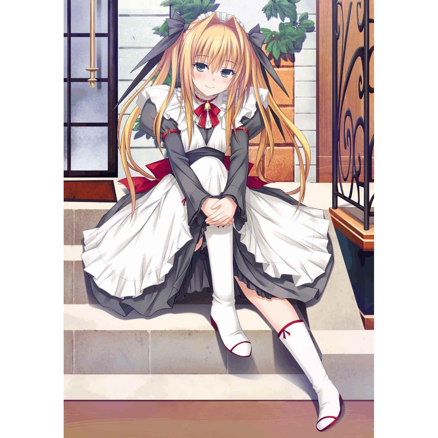 帕露菲中关于风美由飞表女主花鸟玲爱里女主夏海里伽子真女主的设定