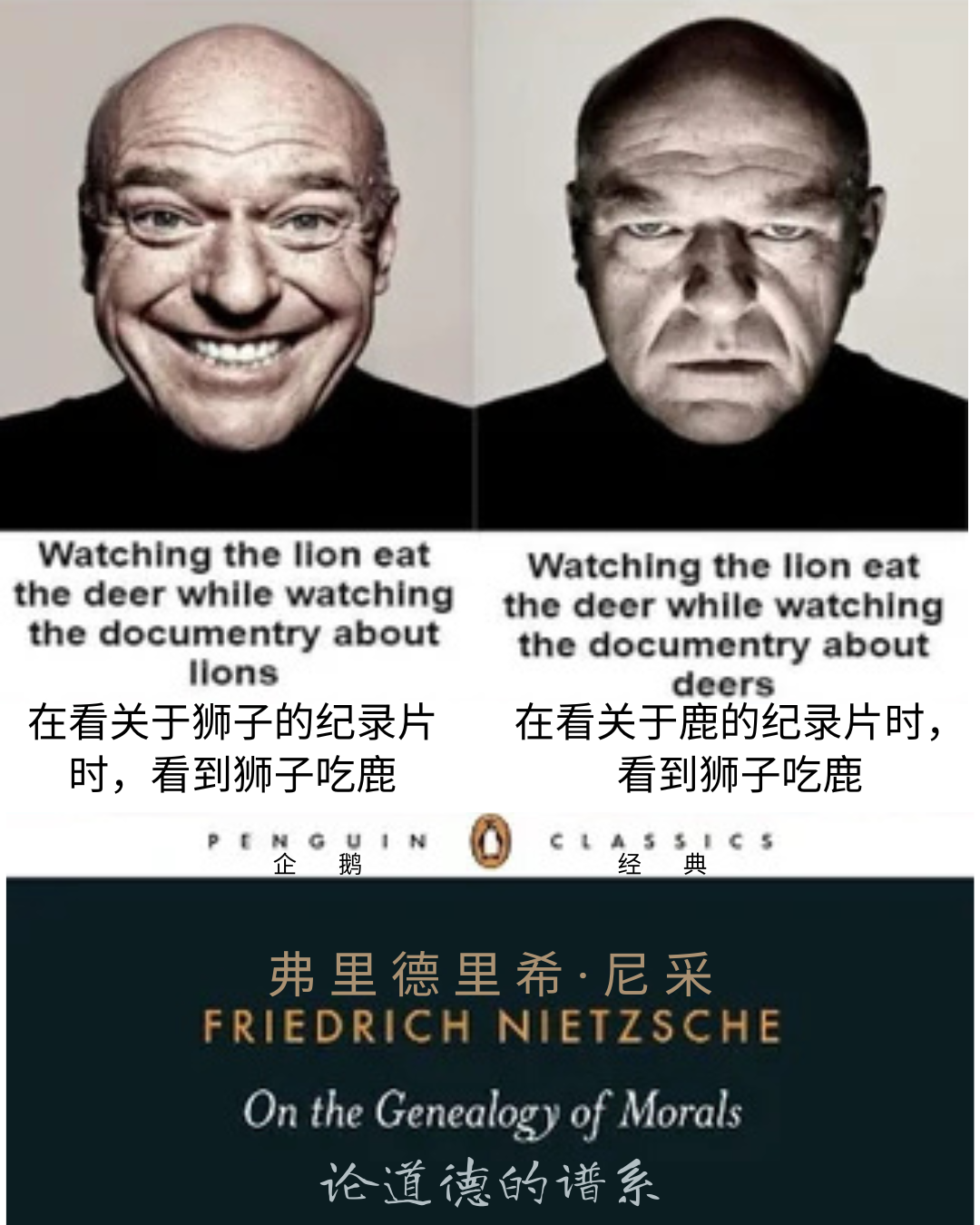 【每日meme】哲学篇(1) - 知乎