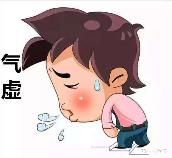 气虚体质吃什么食物和怎么调理？ - 知乎
