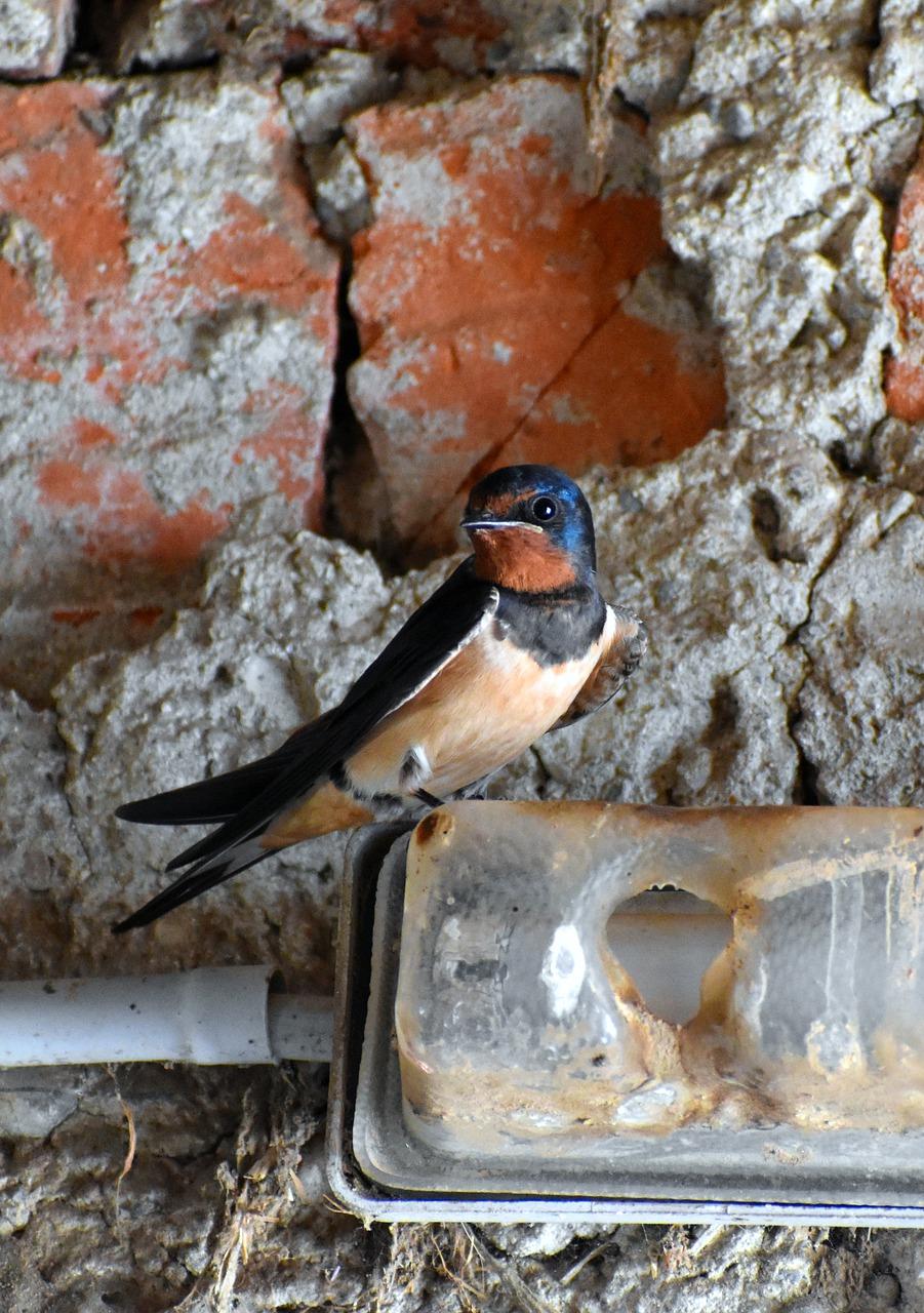 3. 燕子食府口碑佳