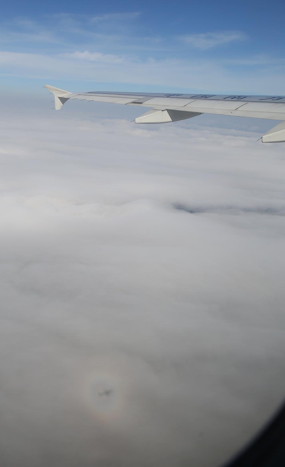 在飞机上,看到云层上方有一个彩虹色的椭圆形,请问这是什么自然现象?