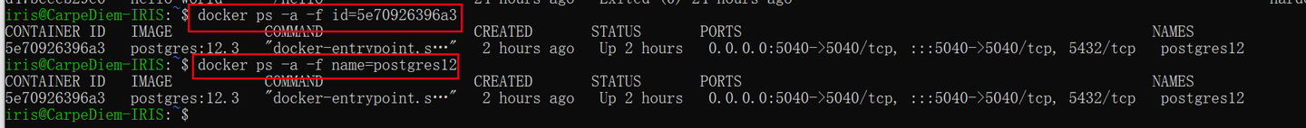 Pgv Docker 在Docker中安装Postgresql - 知乎