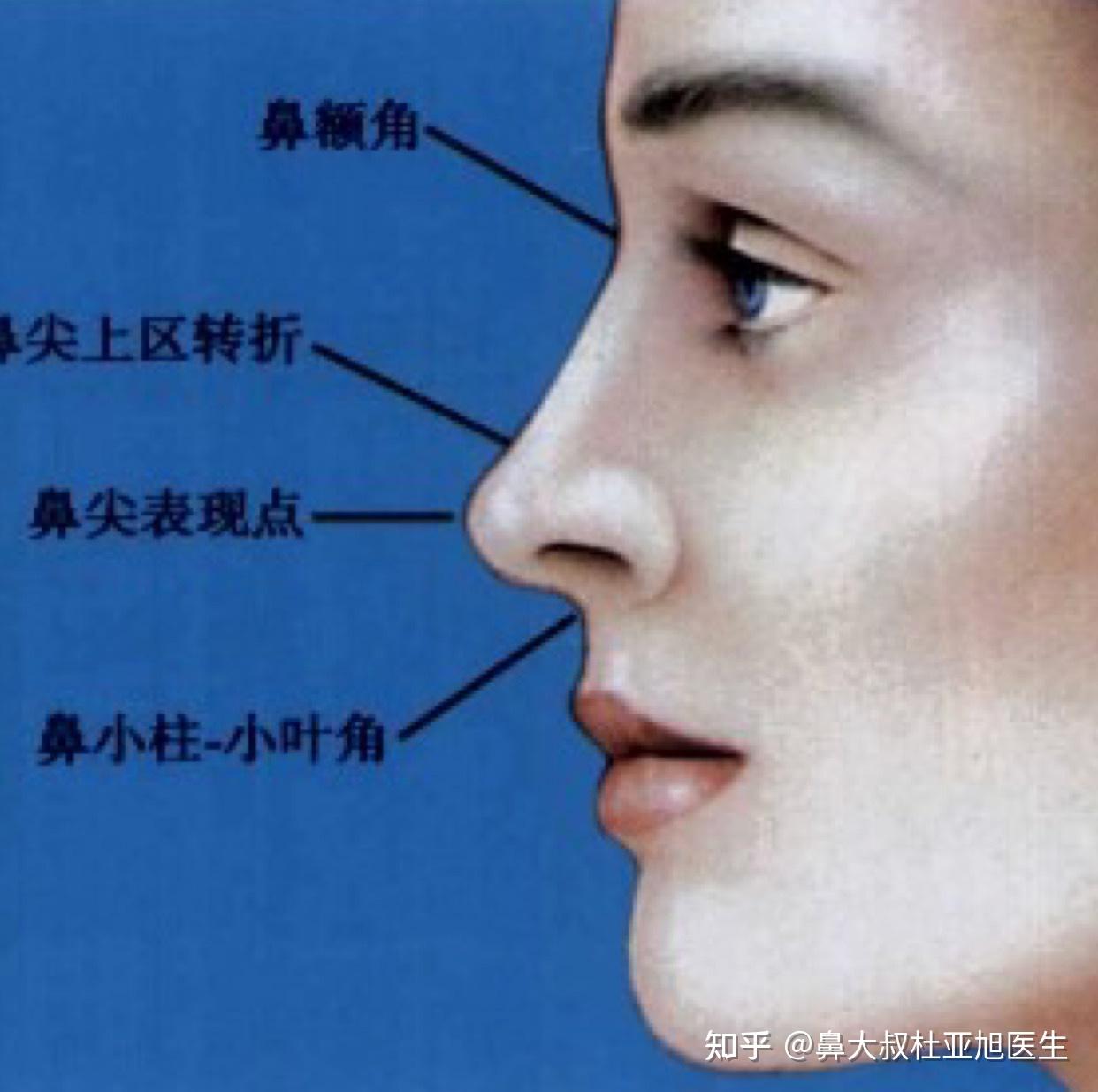 达拉斯鼻整形和鼻综合到底有什么区别 - 知乎