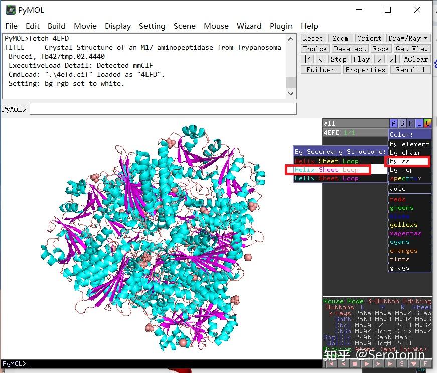 PyMOL小白自留教程3——蛋白质结构的可视化1 - 知乎
