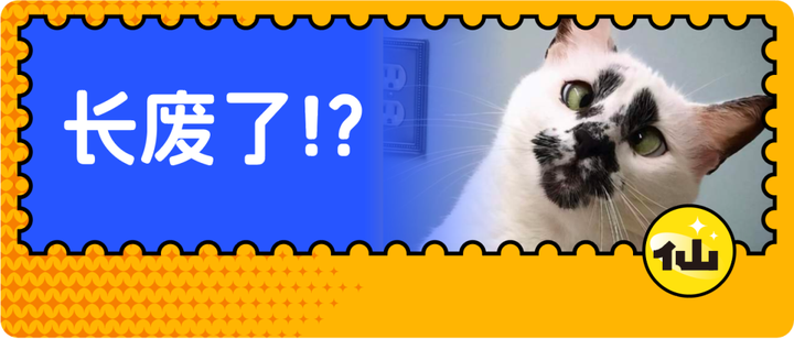 放过本官吧！最容易长废了的三种猫，入手之后就认命吧！ - 知乎