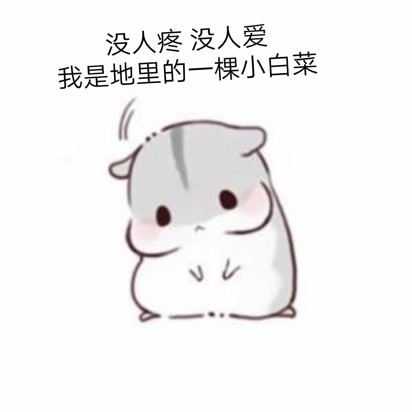 打call尬聊买橘子2017哪些流行语占领了你的表情包