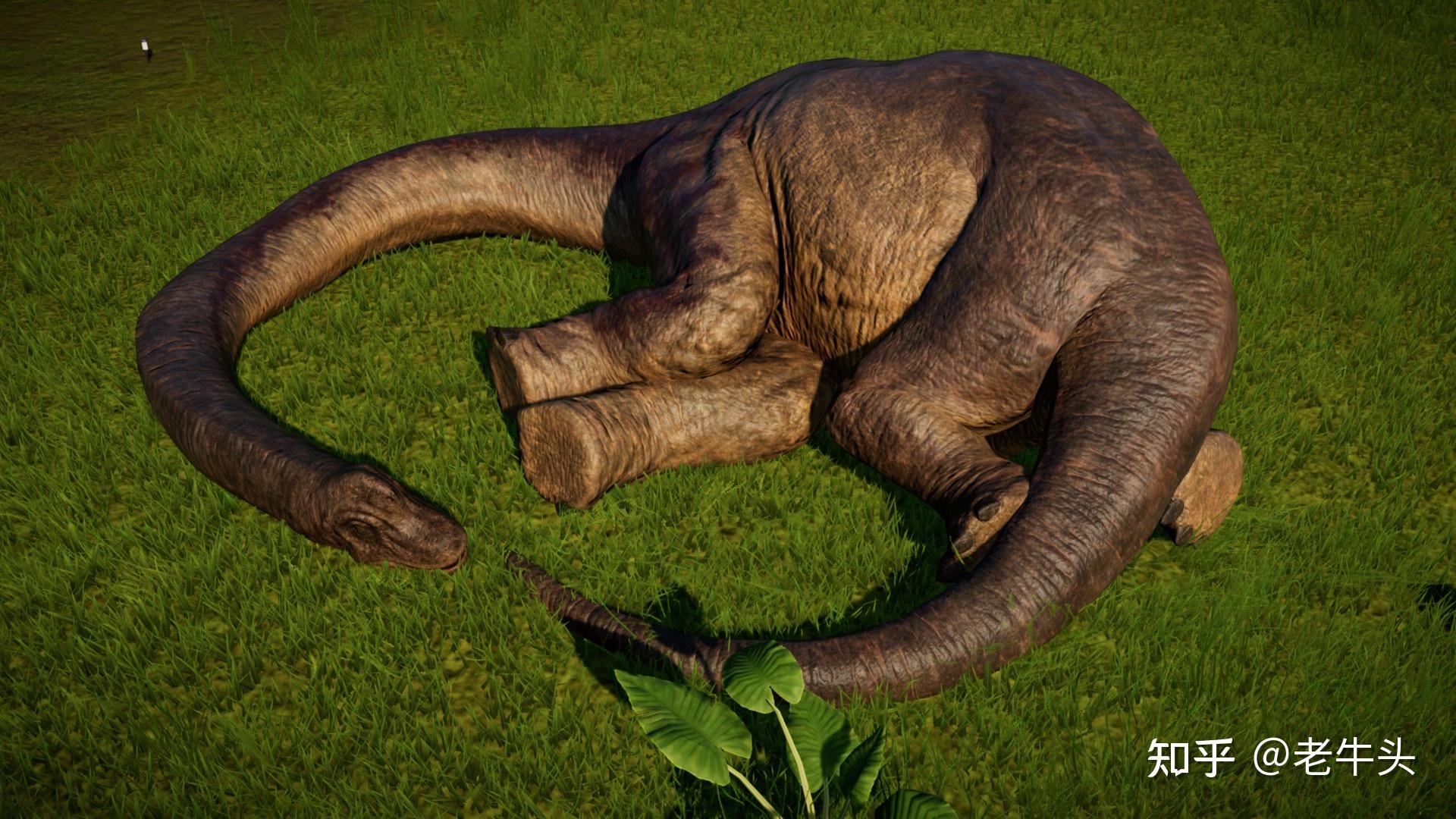 恐龙是怎么睡觉的? - 知乎